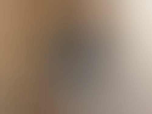 IMG 2