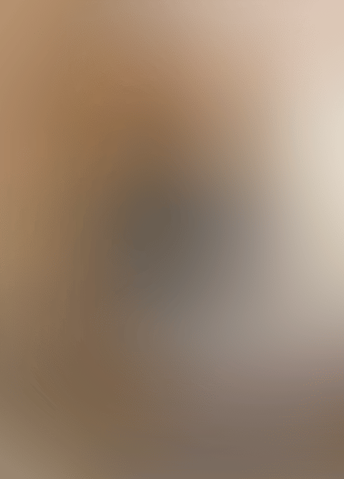 IMG 2