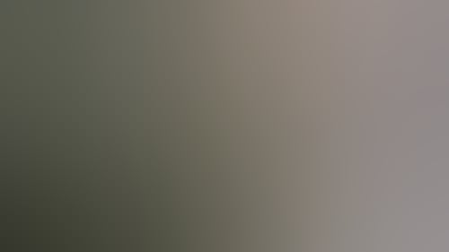 2E91930360C66A0Ccdf4164898D71903