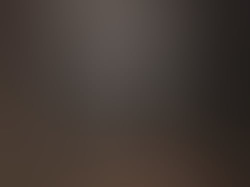 230871570 1024535854970350 2346506236011773575 n