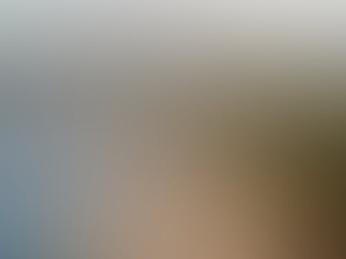 Thegrampians 124288286 167864854982570 7768868200635851393 n