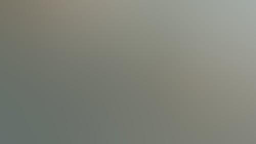 786272D6Ecc4A53948D505F401406Df9
