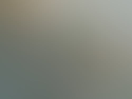 786272D6Ecc4A53948D505F401406Df9