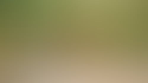 6Cfff4Db1F72B9B529367B032A11A381