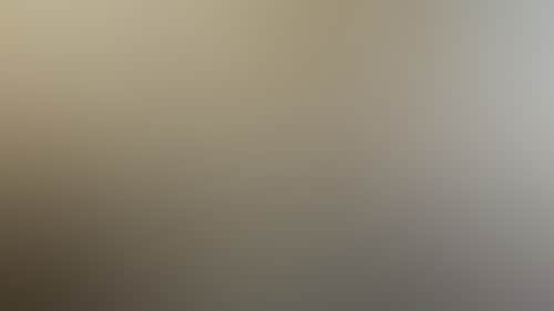 Bc6F0661F88D0Ccf141Dc9804A656000