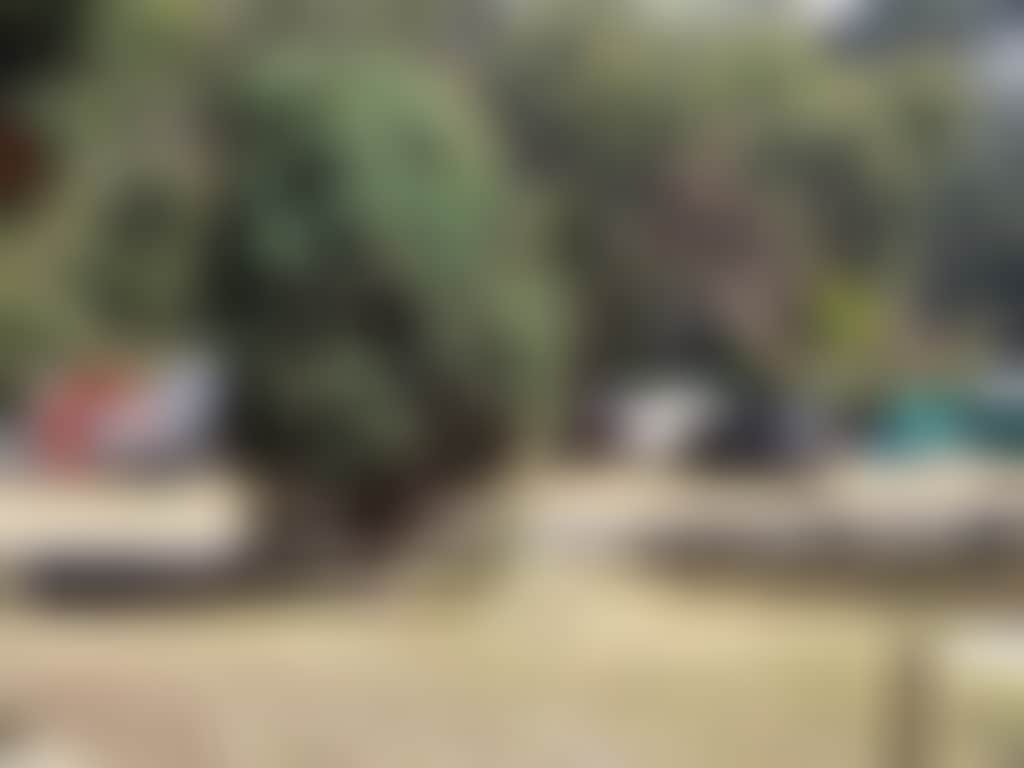 A9E70B0F080Ecc816957B56B6F75A766