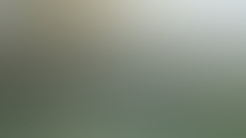 B69C78F8057D4F0Ca4F2D705B714F311
