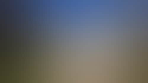 29Cc3C075Bb9A01Db90B4565F18D1846