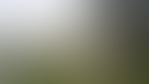 C85D35D4E3095E2Fc2Ce9F995591Ef20