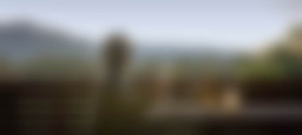 DSCF7444