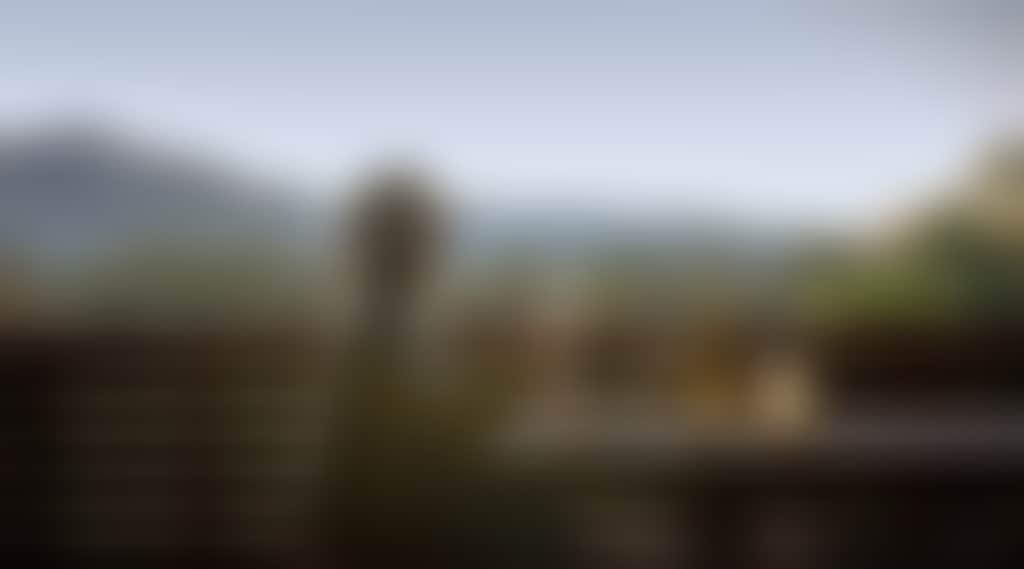 DSCF7444