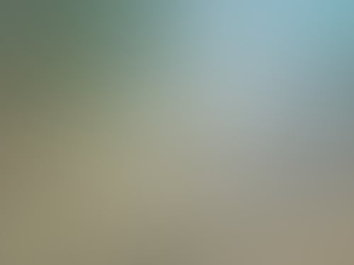 CBCEEBFB 4 F1 F 4 F66 B45 C B4 CD96 A471 EE 1024x1024 1