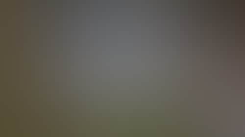 06D91C16113Fb4706A4D08A6882Fc5Ae