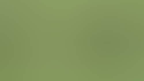 8888Dd06A85F7Eabd25D2C30F1Fd7D53