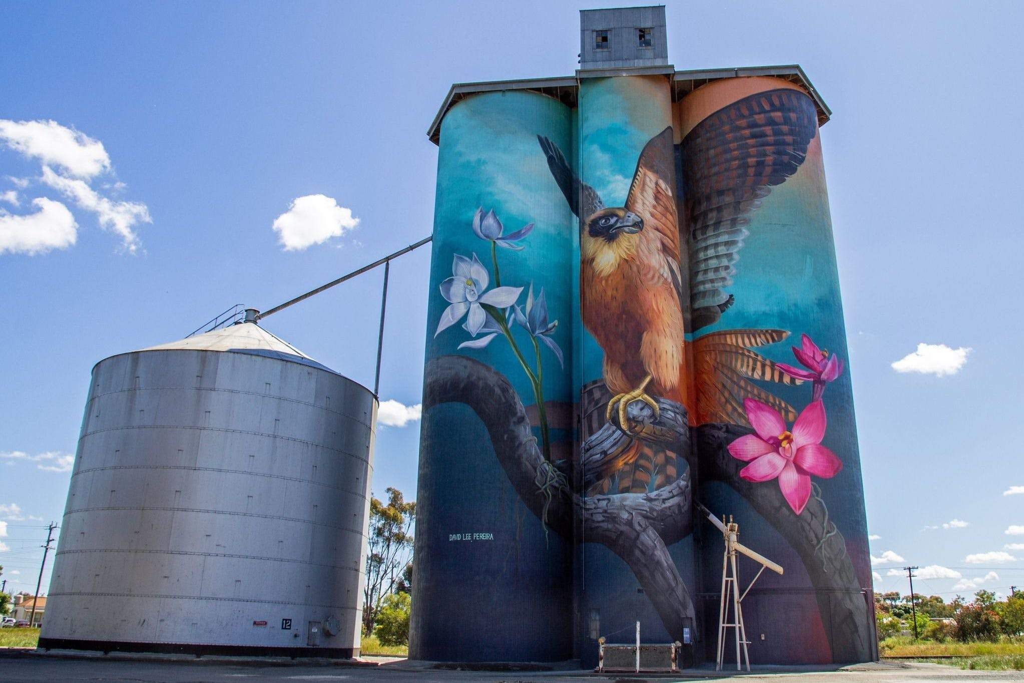 Kaniva Silo Art | Visit Grampians