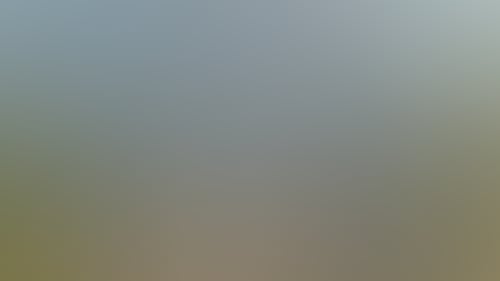 Ce2F6E90Fabade5Da3Cf0C11C8Ea32D9