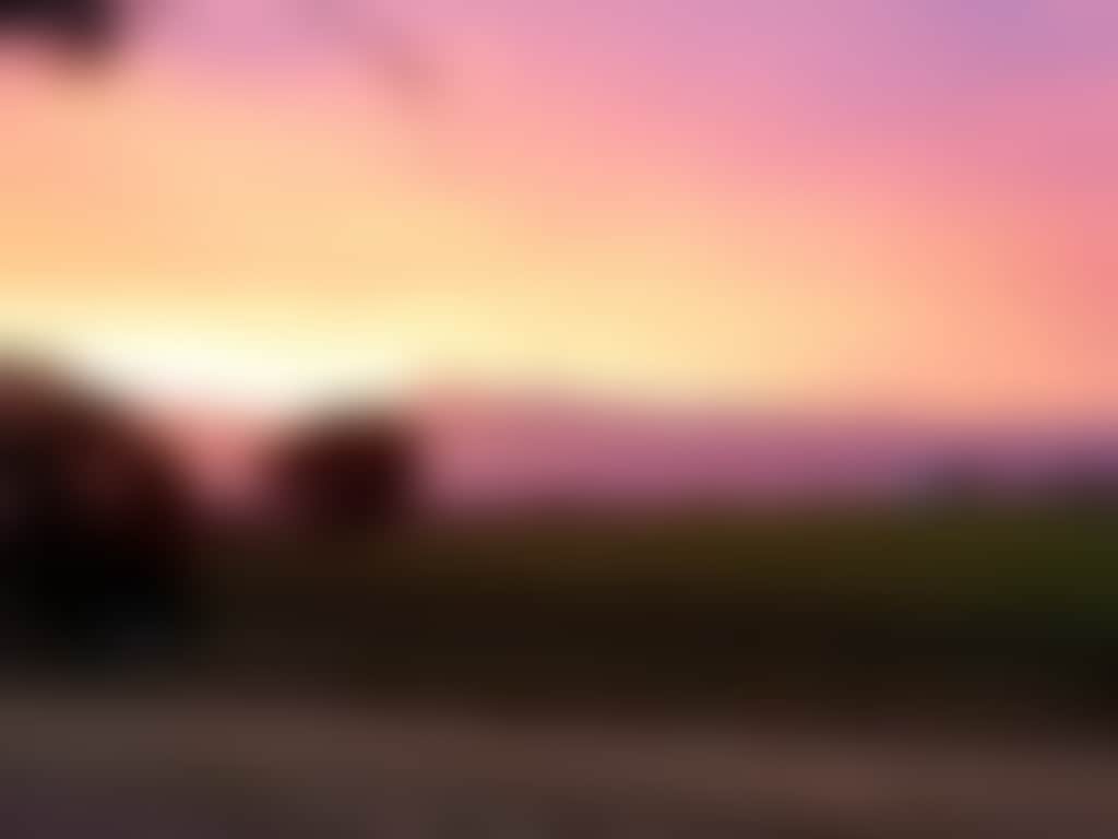 8F65C13984Ac4Ae39Ee526Cd82E5F23C