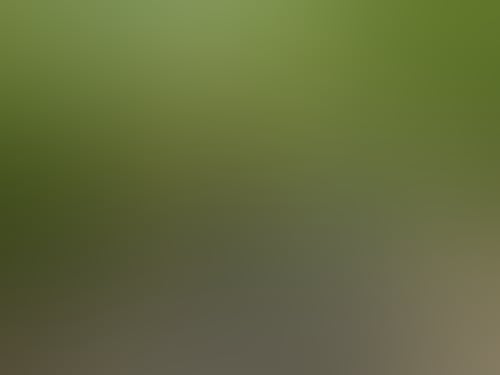 277759487 5304355336293247 7753341921829693030 n