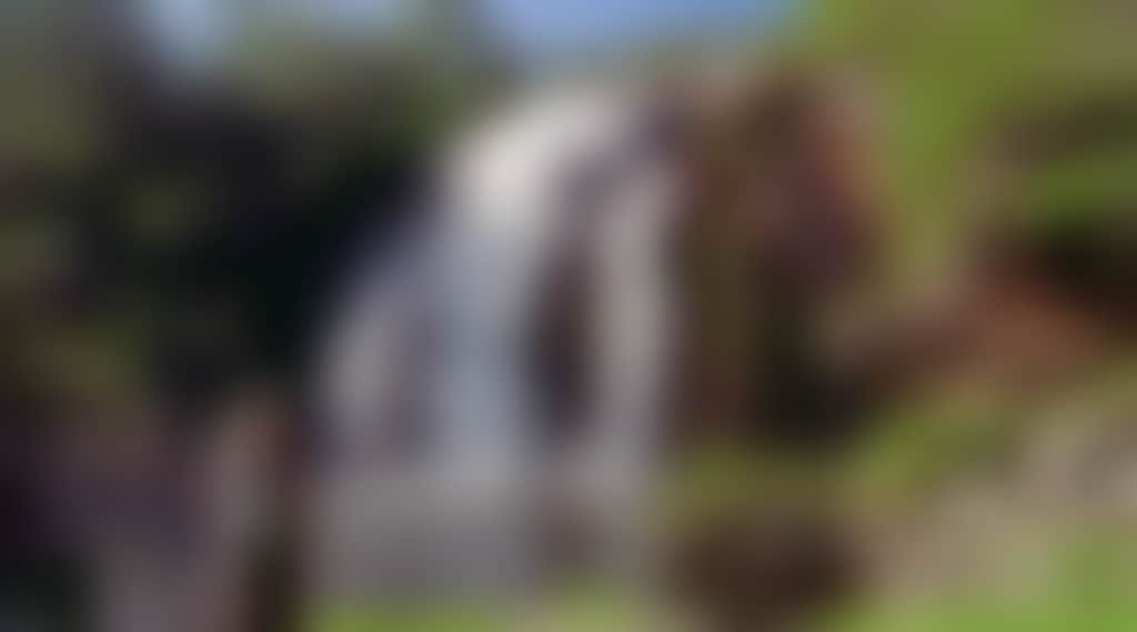 Original__9651326_Al52_Gra_Mckenzie_Falls_1052892305_Aavphwh