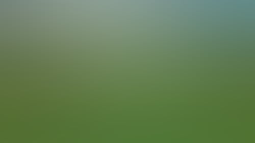 D79B8345Cc7Ca35A17B6Ad7F4895D805