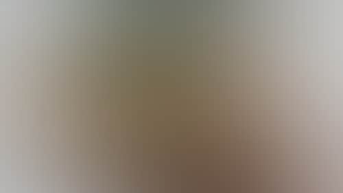 8D077D8E32Ec74A366Ce8F55Cf7A17B7