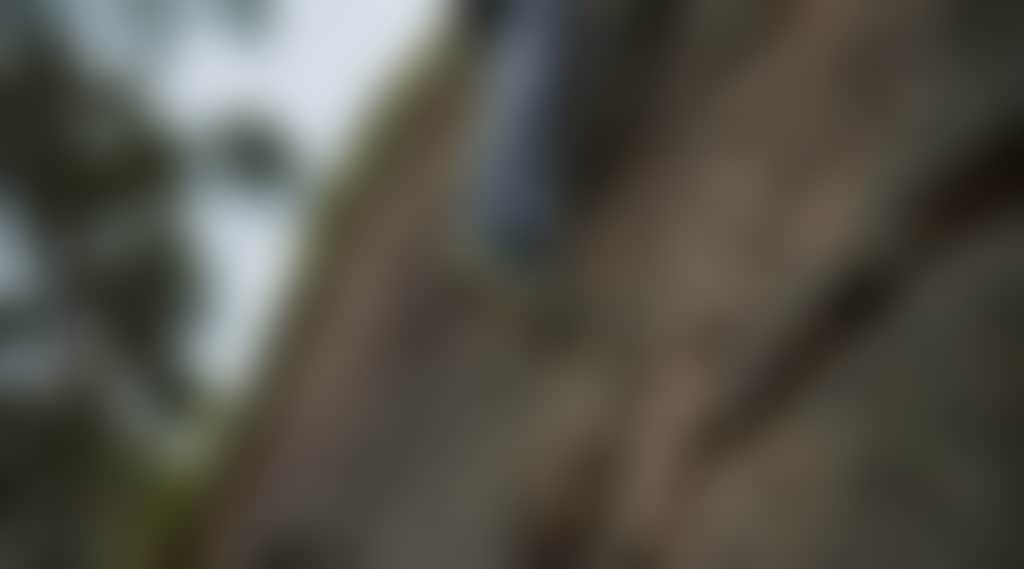E2674Ea7D70E40081C0Bf7Dece7609Ac