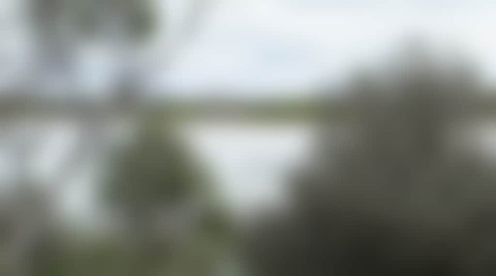 Cd75C803B4E7Ea63B5385C4Ba670D91B