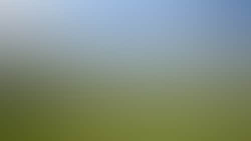 53864A984E70135F72B11Bb2A8A03D02