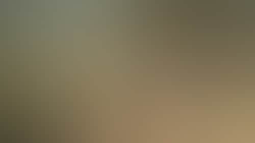 Eed3Ed7Bc8E93E5E9A14127C20243F38