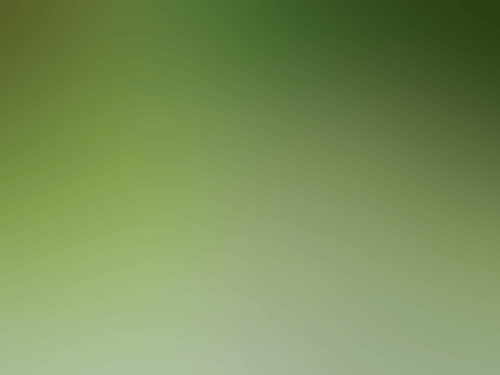 Screen Shot 2019 12 02 at 10 07 39