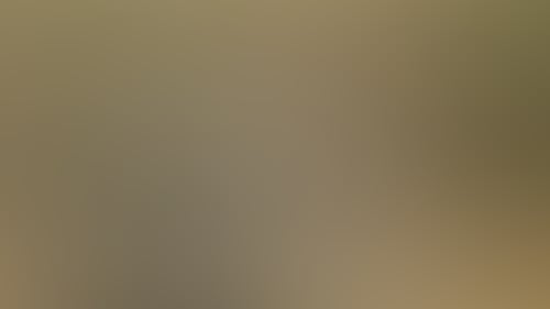 B264Df90Aea035B62Fea8A3B08211E48