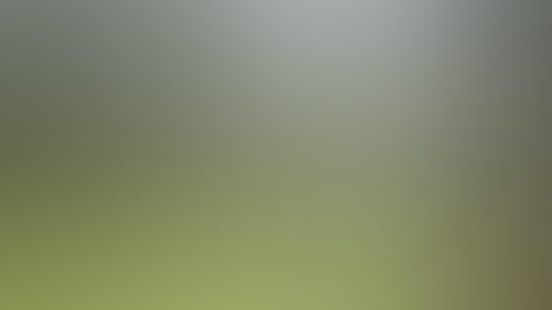 A7E0D17F414E6709Ae0De2959Af49091