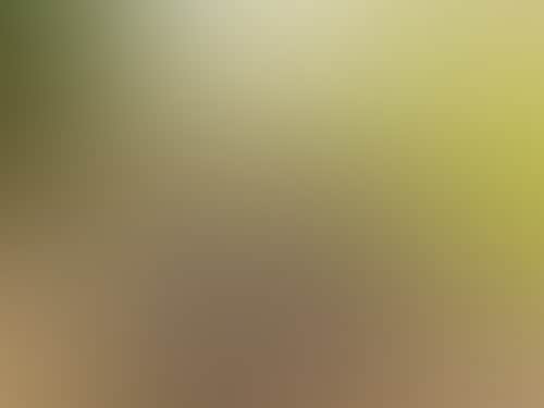 B86Ba9Fef0A7Ff1138F87033De44Ef7E