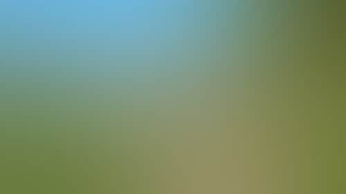 E00C89F44D8C4D1D8E217F9De3Dab3C4