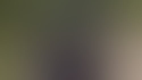 162Faf6058E1E7F43Cb07B854577Cb5F