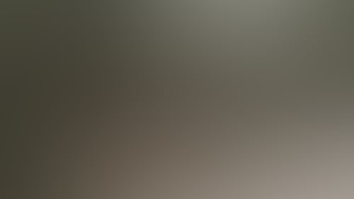 10F1Fb05B0A83F612174D8D3C0E5554F