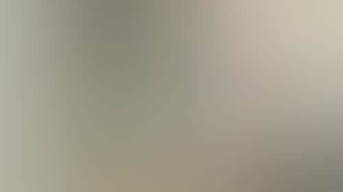 89E73F48A0B4Afb3084A73Ed84553Bec