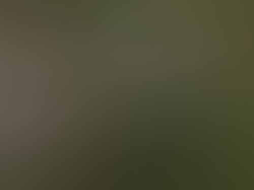 58831c146ca4a62bef001cca279bf07f