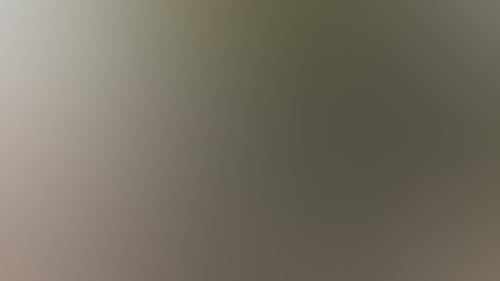 0877D898F5E127175C1D3B479E5D22Fc