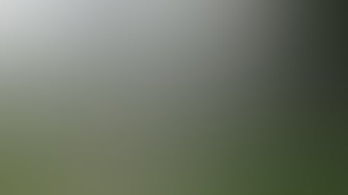 Original__9689311_Dk63_Dscf1140_Basloab