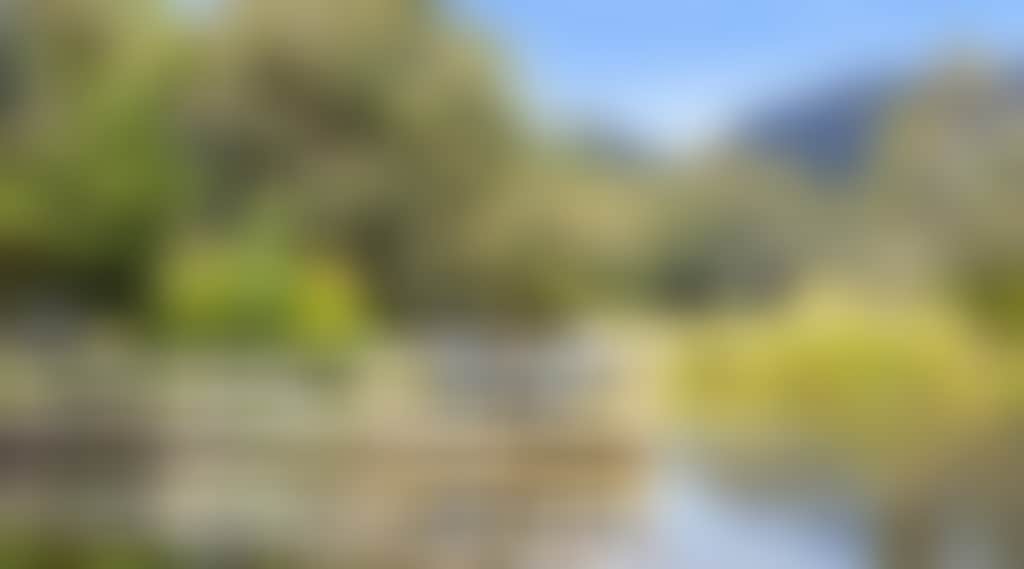 F5E2900C74897F57F0D542F6777F31B5