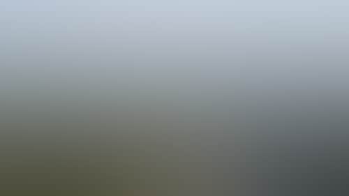 9253D7959048D20270C2662619Fe5059