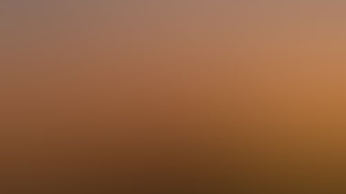 149218 56