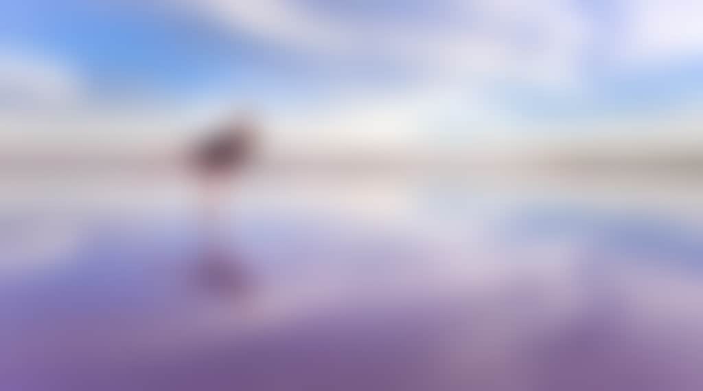 106315 19
