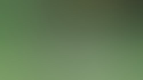 6945914E8775Fd938Dc4F26065C37D16
