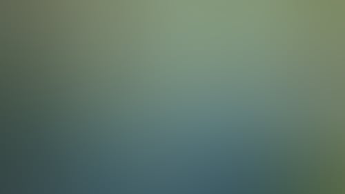 Fa8Ba2C429C4E49B811C56A6A08Aa648