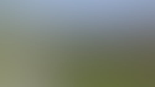 465188C7077B895272Bdffcf8F584280