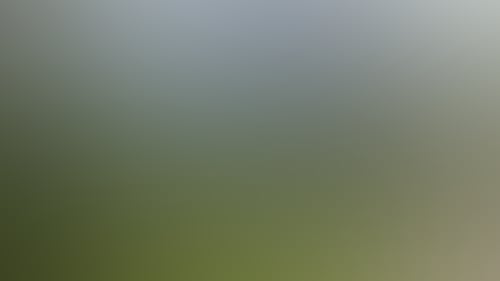 5205518Ea5206C8629B2E124Bc648Cdc