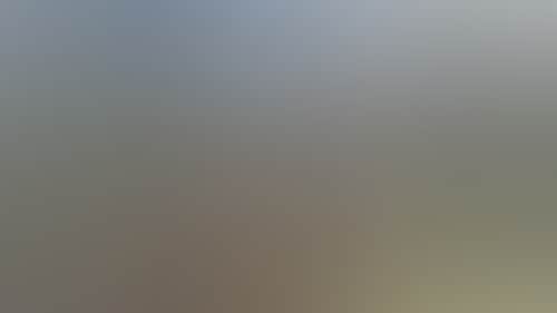 Original__9622093_Dp54_Murdadjoog_Gallery_8En7Oh2