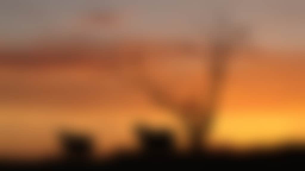 149218 56
